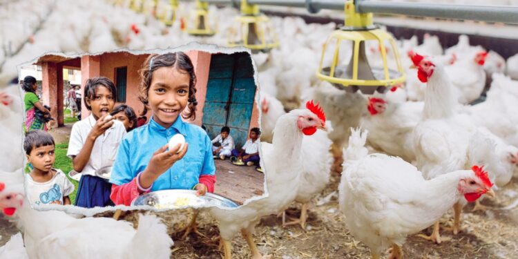 Alarming Bird Flu Outbreak in Bihar: Eggs Yanked from Mid-Day Meals as Concerns Surge