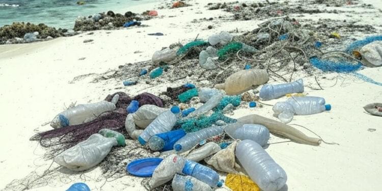 Marine Litter Crisis Threatens Lakshadweep Coral Ecosystems